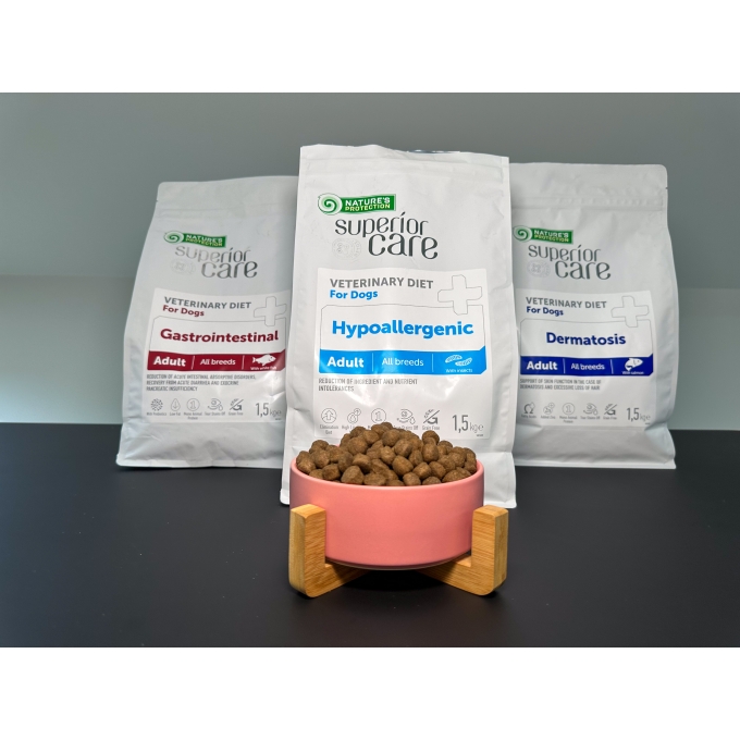 Salmon diet for dogs online